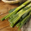 Hành baro tươi sạch, sản phẩm an toàn Vietgap